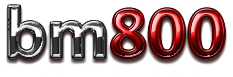 bm800 logo